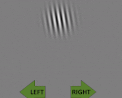 method-of-adjustment