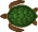 turtle_background
