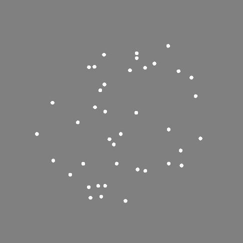 Dot Estimation Task