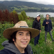 User profile picture